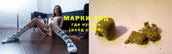 ГАЛЛЮЦИНОГЕННЫЕ ГРИБЫ Алексеевка
