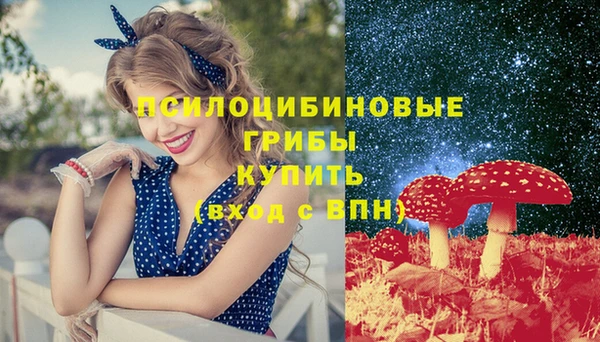 гашик Алзамай
