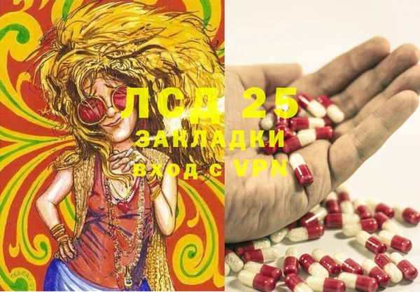 ГАЛЛЮЦИНОГЕННЫЕ ГРИБЫ Алексеевка