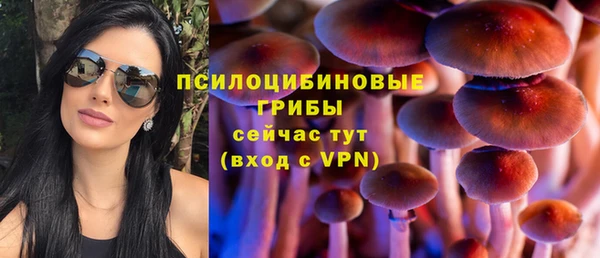 героин Алексин