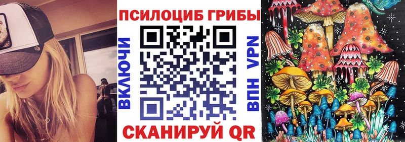 Псилоцибиновые грибы мицелий  как найти   Полевской 